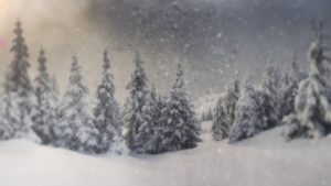 Snowy Window