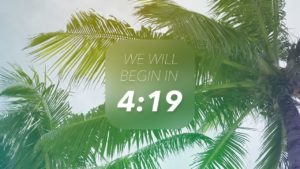 Five Minute Countdown – Palm Trees