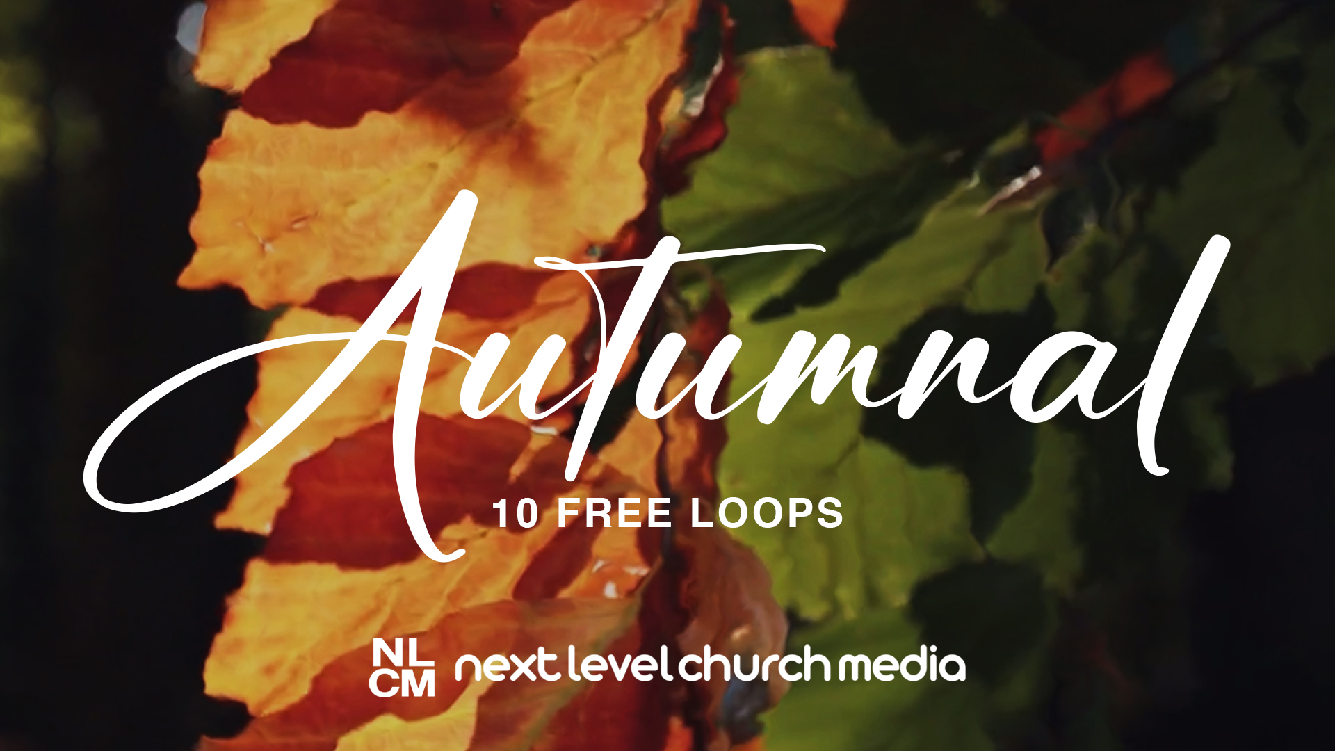 Autumnal – 10 Free Motion Backgrounds