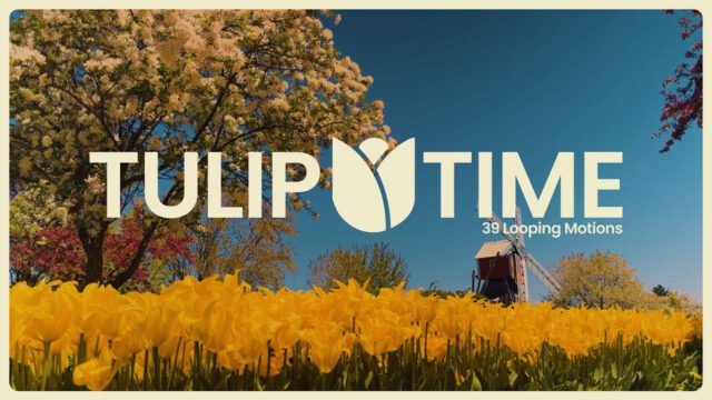 Tulip Time Motions