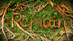 remainHD