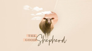TheGoodShepherd_720p
