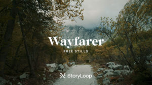 wayfarer