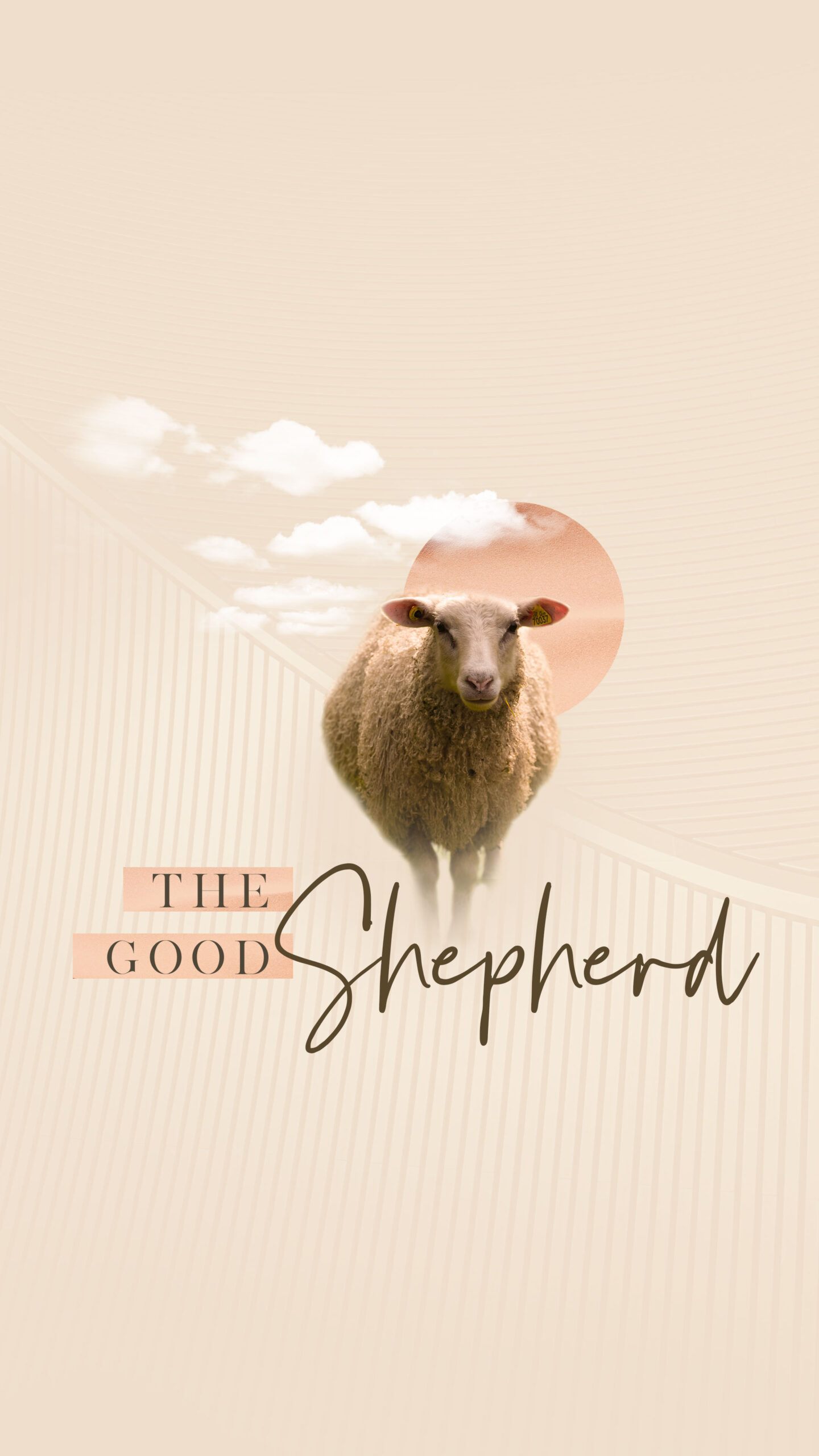 TheGoodShepherd_story