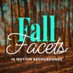 Fall Facets