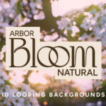 Arbor Bloom – Natural