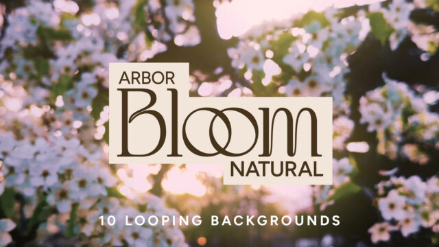 ArborBloomNatural