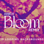 Arbor Bloom – Remix