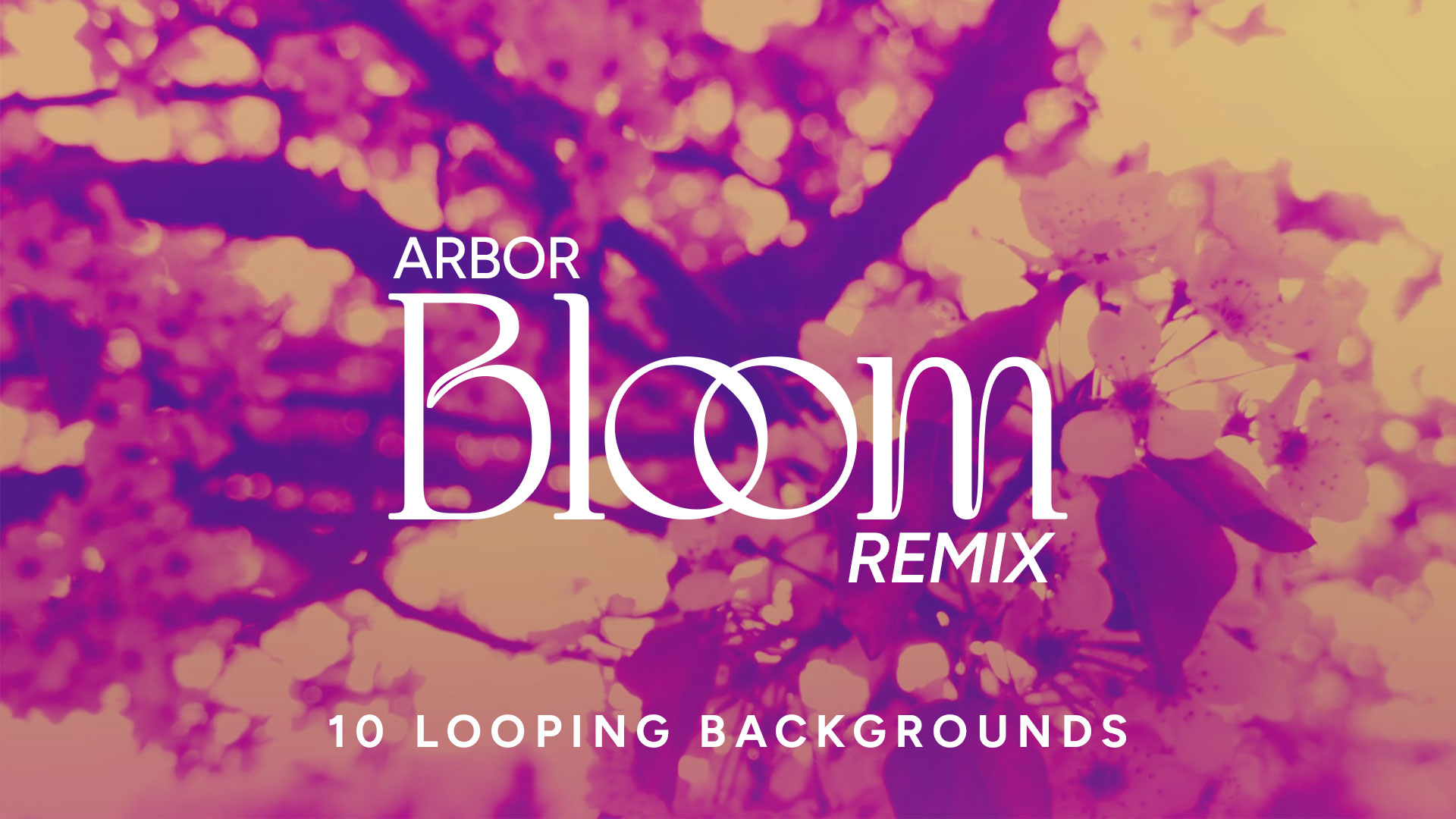 Arbor Bloom – Remix